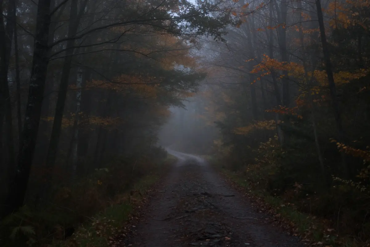 The Bennington Triangle